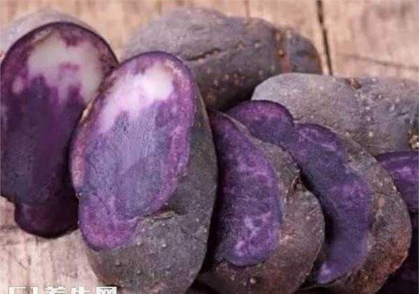 紫薯粥变绿色可以吃吗