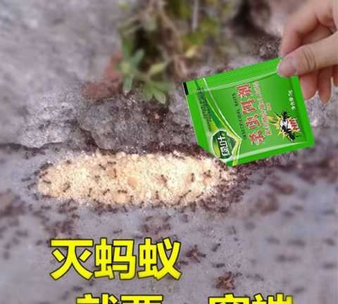 蚂蚁药撒地上多久可以扫掉