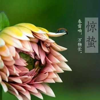 惊蛰的含义和气候