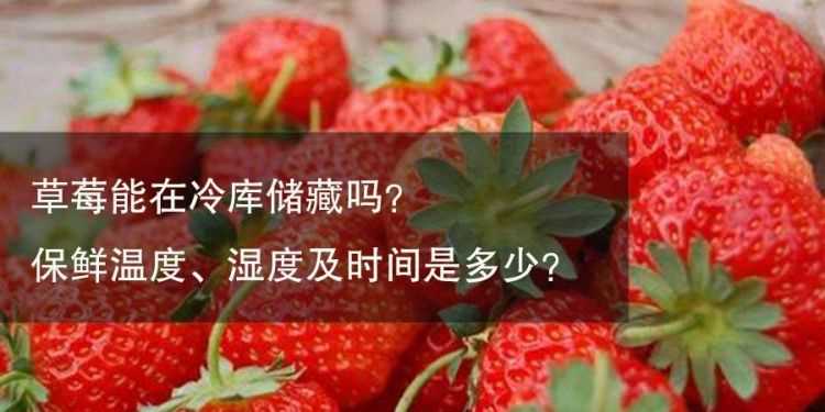 草莓适合在什么温度下保存