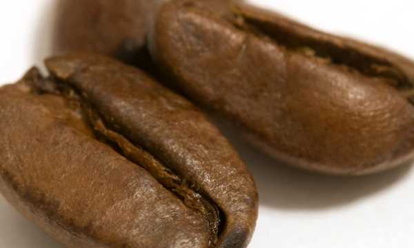 咖啡种类排行榜前十名,世界十大咖啡排名 猫屎图5