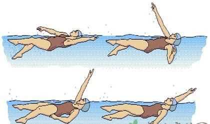 自由泳游泳技巧和要诀