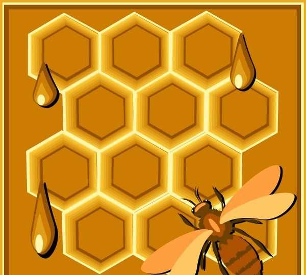 蜂蜡是什么蜜蜂,蜜蜂的克星药是什么图3