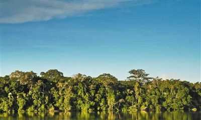 热带雨林气候典型区域