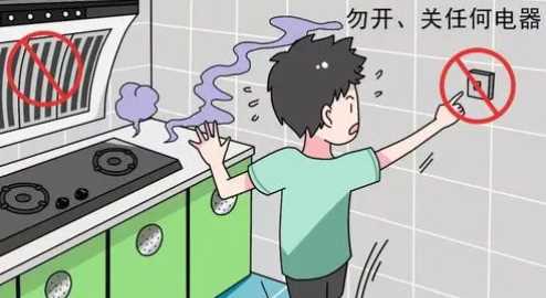 天然气泄漏是什么味道,家里天然气泄露什么味儿图2
