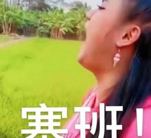 用来形容手机的：塞班是什么意思