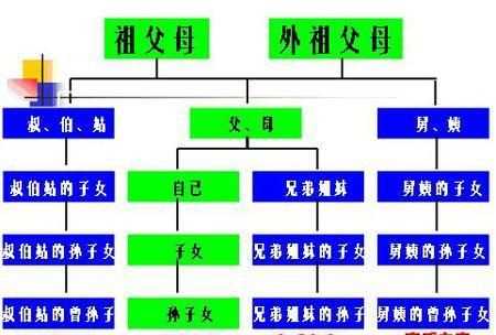 叔叔、舅舅等是不是直系亲属如何界定