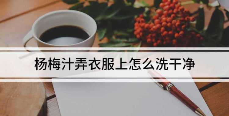 杨梅汁弄到白衣服上怎么办