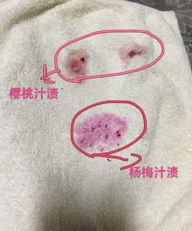 杨梅汁弄到衣服上怎么办