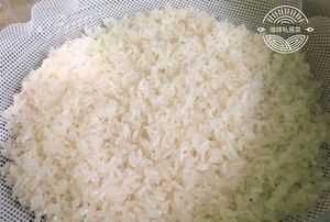 糯米一般泡多久可以蒸米饭