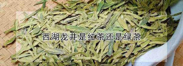西湖龙井是绿茶,龙井茶属于红茶还是绿茶图6