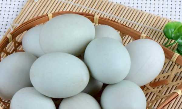 煮熟的鸭蛋放冰箱保鲜能放几天,鸭蛋常温下能保存多久图1