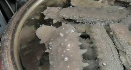 海参的泡发方法具体步骤窍门,怎样泡发海参的正确方法视频图7