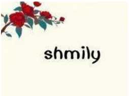 shlimy代表什么,YTQ- shmily是什么意思图1