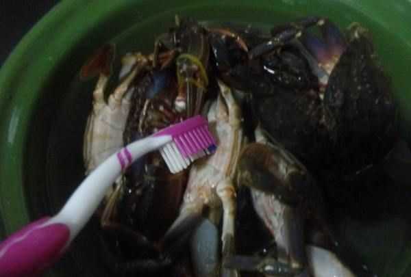 螃蟹开水煮多久可以吃,大闸蟹水煮多久可以吃图4