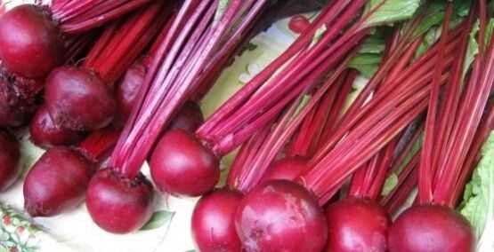 怎么炒红油菜头,红油菜头的做法大全图11