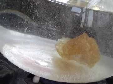 枇杷泡蜂蜜要去核,枇杷泡蜂蜜去皮好还是不去皮好图5