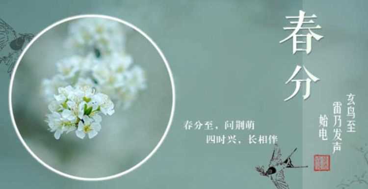 春分节气的气候特点是什么样的