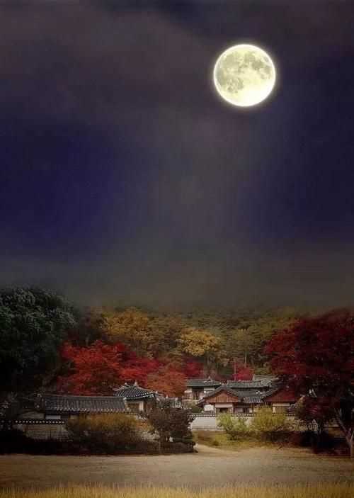赏月诗句