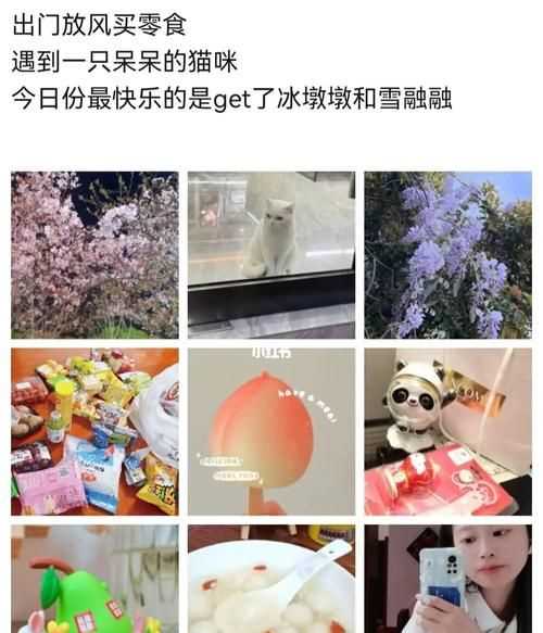 出去玩可以说成放风吗