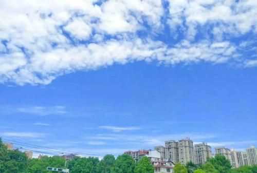 十二生肖雨过天晴指的是什么生肖
