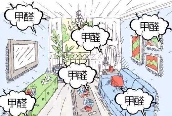 如何空气净化,放在房间净化空气的植物有哪些图6