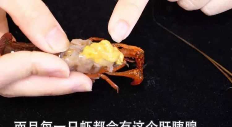 虾黄和屎的区别 怎么辨别虾黄和屎黄