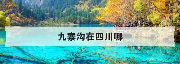 九寨沟都江堰阿坝州属于哪个省哪个区