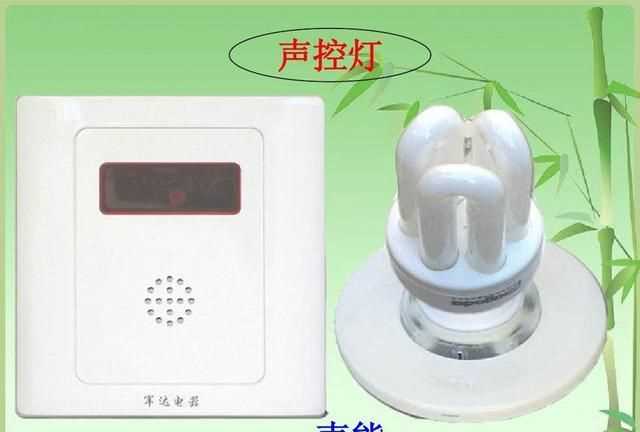声控是什么意思
