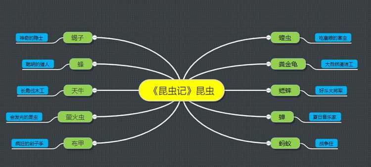 昆虫记前五篇昆虫特点概括