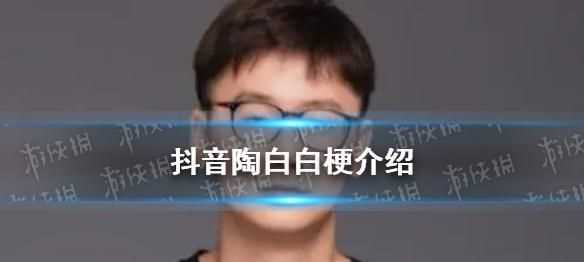 陶白白和白桃是一个人吗