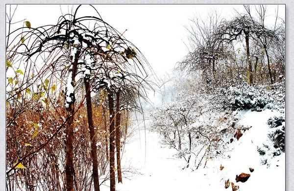 瑞雪兆丰年的下一句,瑞雪兆丰年的上一句和下一句分别是什么图4