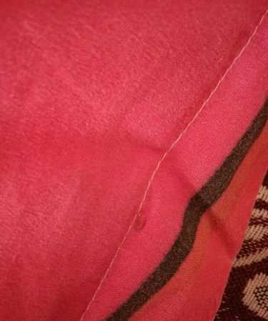 床上为什么会有小虫子