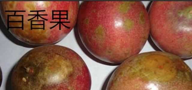 百香果和鸡蛋果的区别，鸡蛋果和百香果的区别？图2