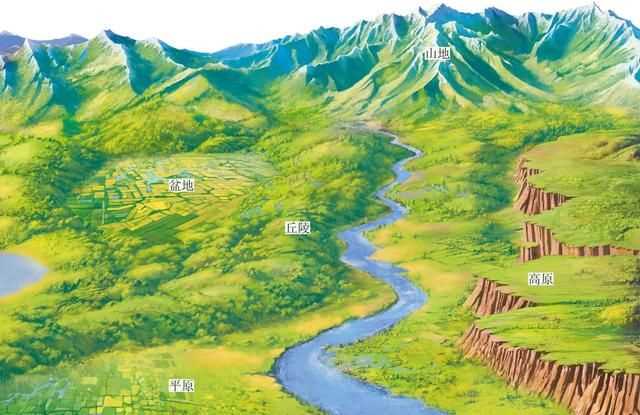 中国森林面积达220万平方千米占其国土面积的百分之多少，第九次森林普查我国森林面积居世界第几位？图4