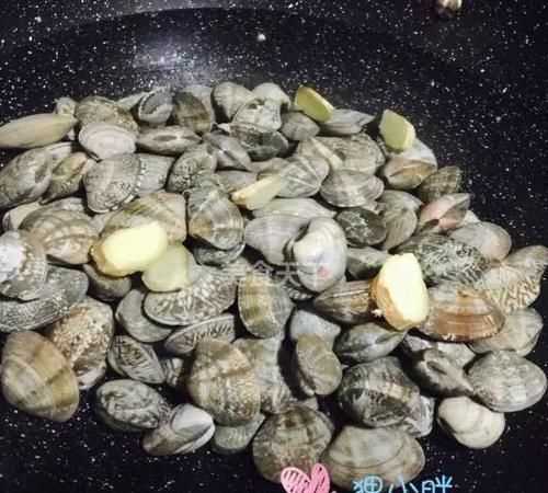 花蛤淡水能活吗