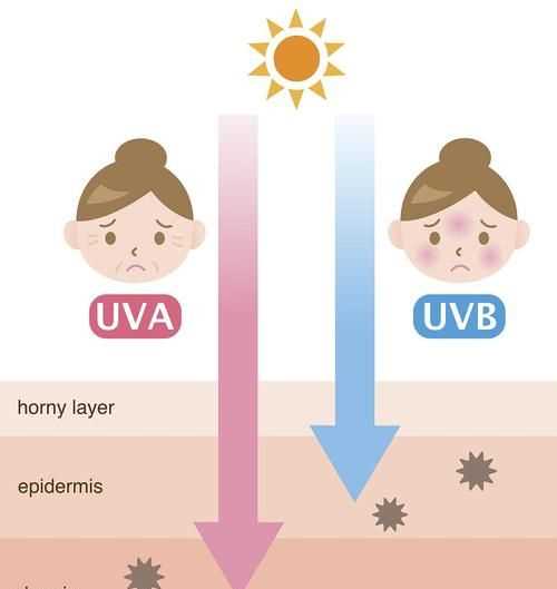 紫外线属于什么辐射