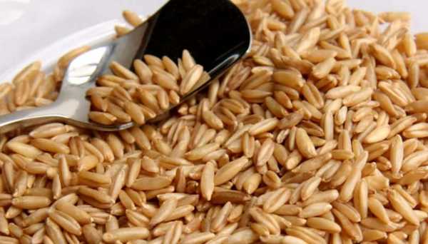 粗杂粮都有什么,粗粮杂粮有哪些食物,怎么吃图2