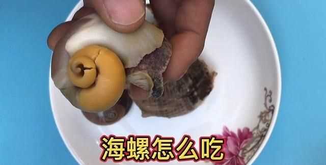 海螺死的可以吃吗