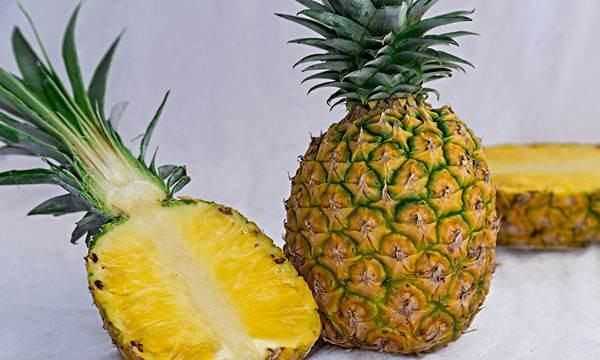 菠萝怎么吃不沙嘴,菠萝怎么才能结果图5