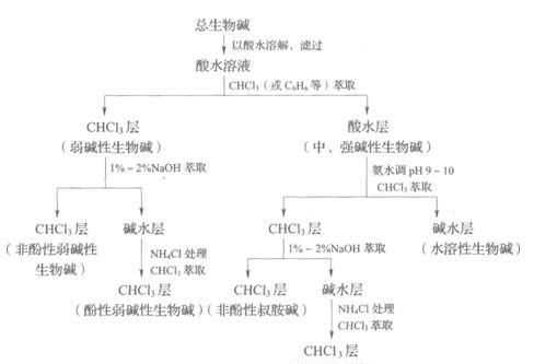 生物碱是什么