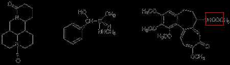 简述生物碱的结构特点