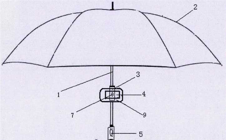 伞的结构是什么