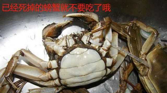 蒸螃蟹需要多长时间才能熟，螃蟹需要蒸多长时间？图4