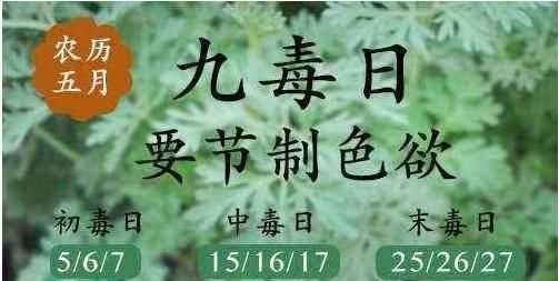 毒五月是哪几天2022