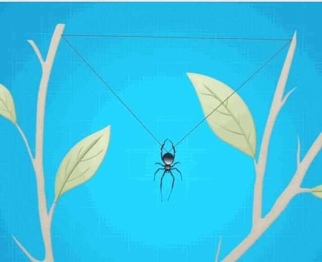 蜘蛛织的网会网住蜘蛛吗，蜘蛛拉的网破后，还把网吃掉吗？图7