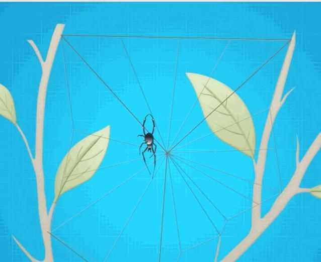蜘蛛织的网会网住蜘蛛吗，蜘蛛拉的网破后，还把网吃掉吗？图8