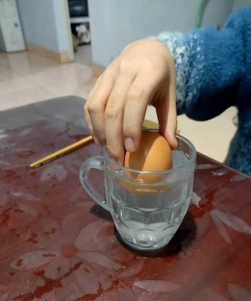 鸡蛋放进盐水里浮起来的原理是什么