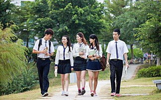 大学校园安全知识流程