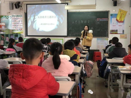 小学反恐反暴安全知识教育